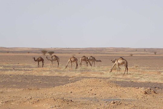 Tour image 6