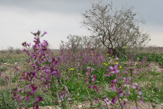 Tour image 10